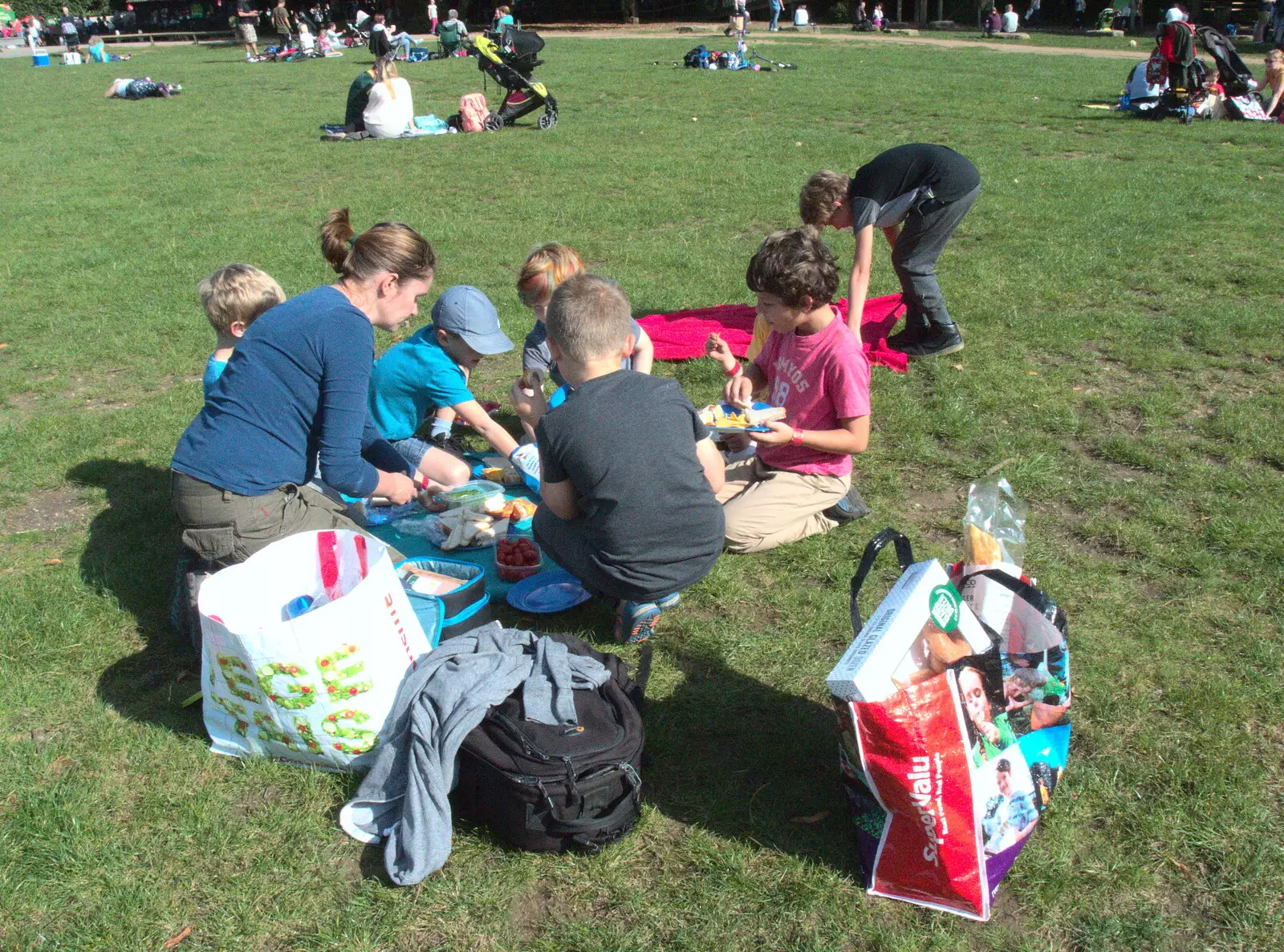 A picnic on the field, from Fred Goes Ape, High Lodge, Brandon, Suffolk - 24th September 2017