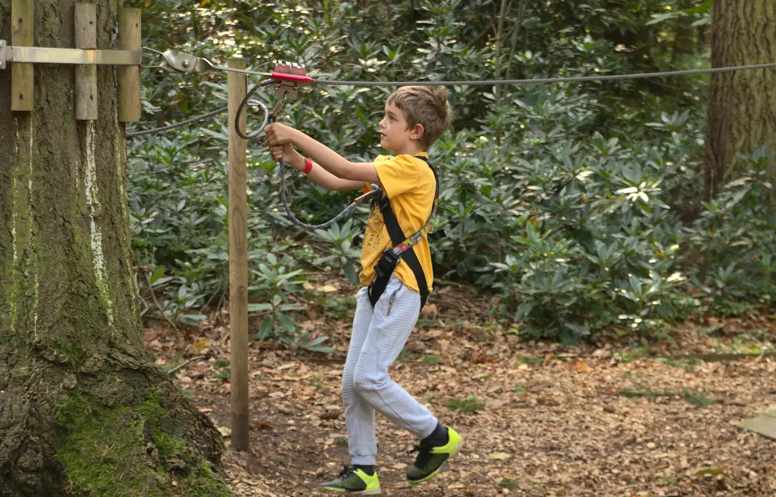 Fred does the practice wire, from Fred Goes Ape, High Lodge, Brandon, Suffolk - 24th September 2017