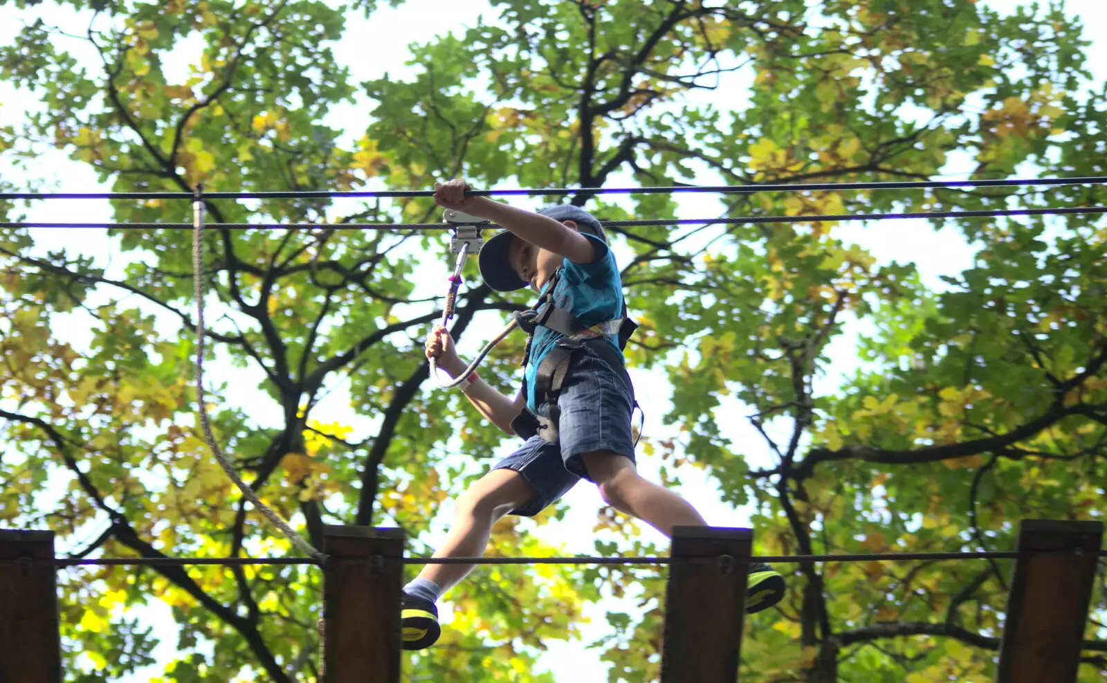 Henry's on a wire, from Fred Goes Ape, High Lodge, Brandon, Suffolk - 24th September 2017