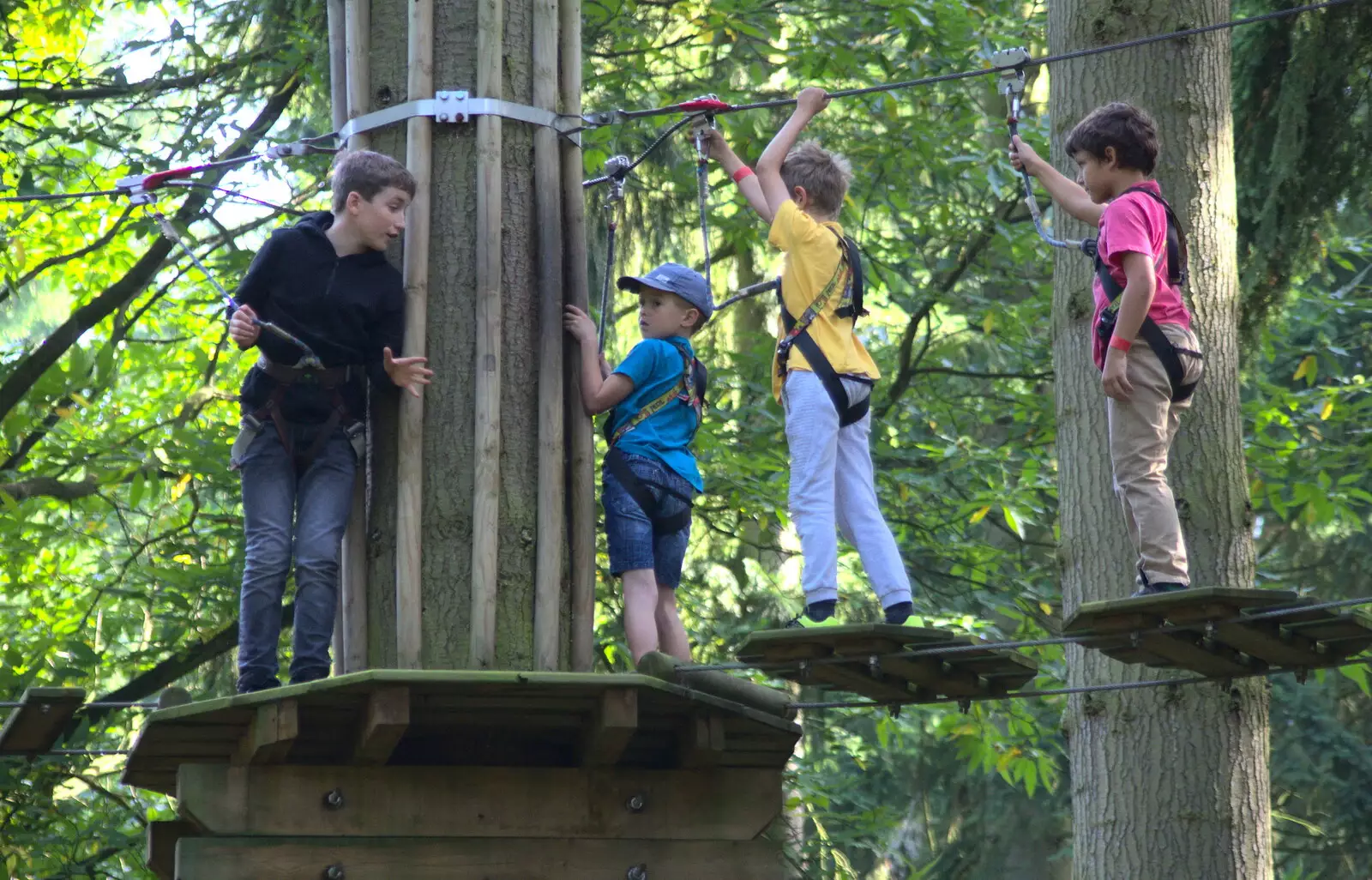 Fred makes it to a tree-top base, from Fred Goes Ape, High Lodge, Brandon, Suffolk - 24th September 2017