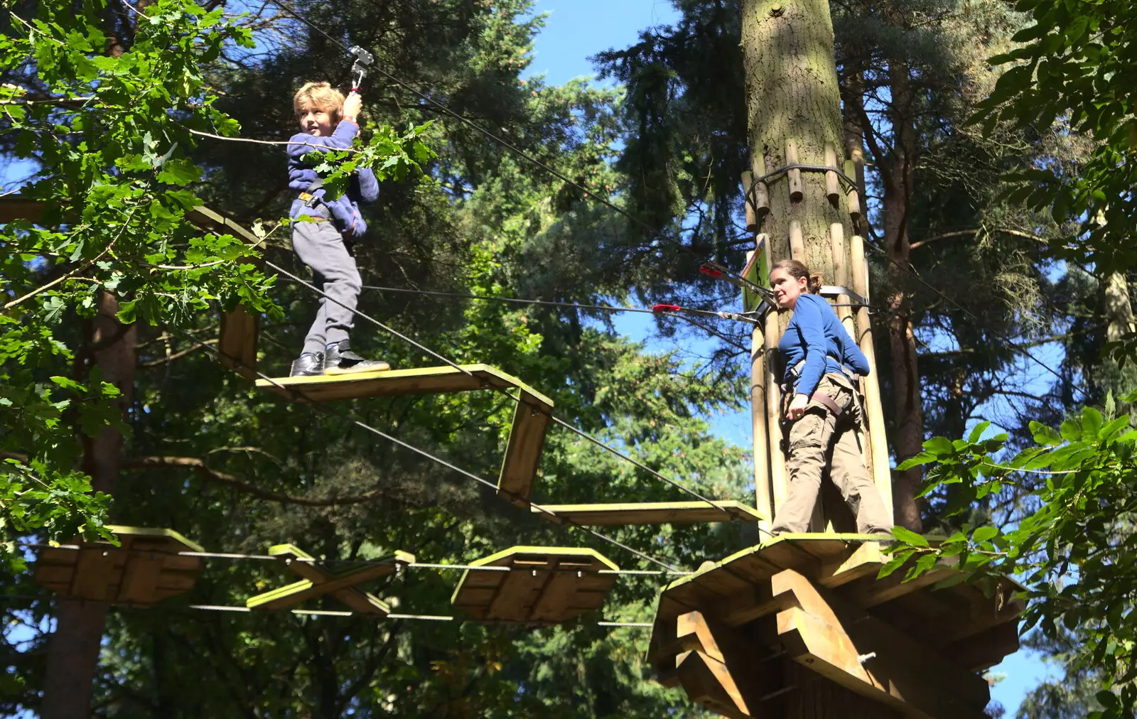 Isobel up a tree, from Fred Goes Ape, High Lodge, Brandon, Suffolk - 24th September 2017