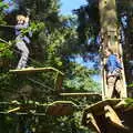 Isobel up a tree, Fred Goes Ape, High Lodge, Brandon, Suffolk - 24th September 2017