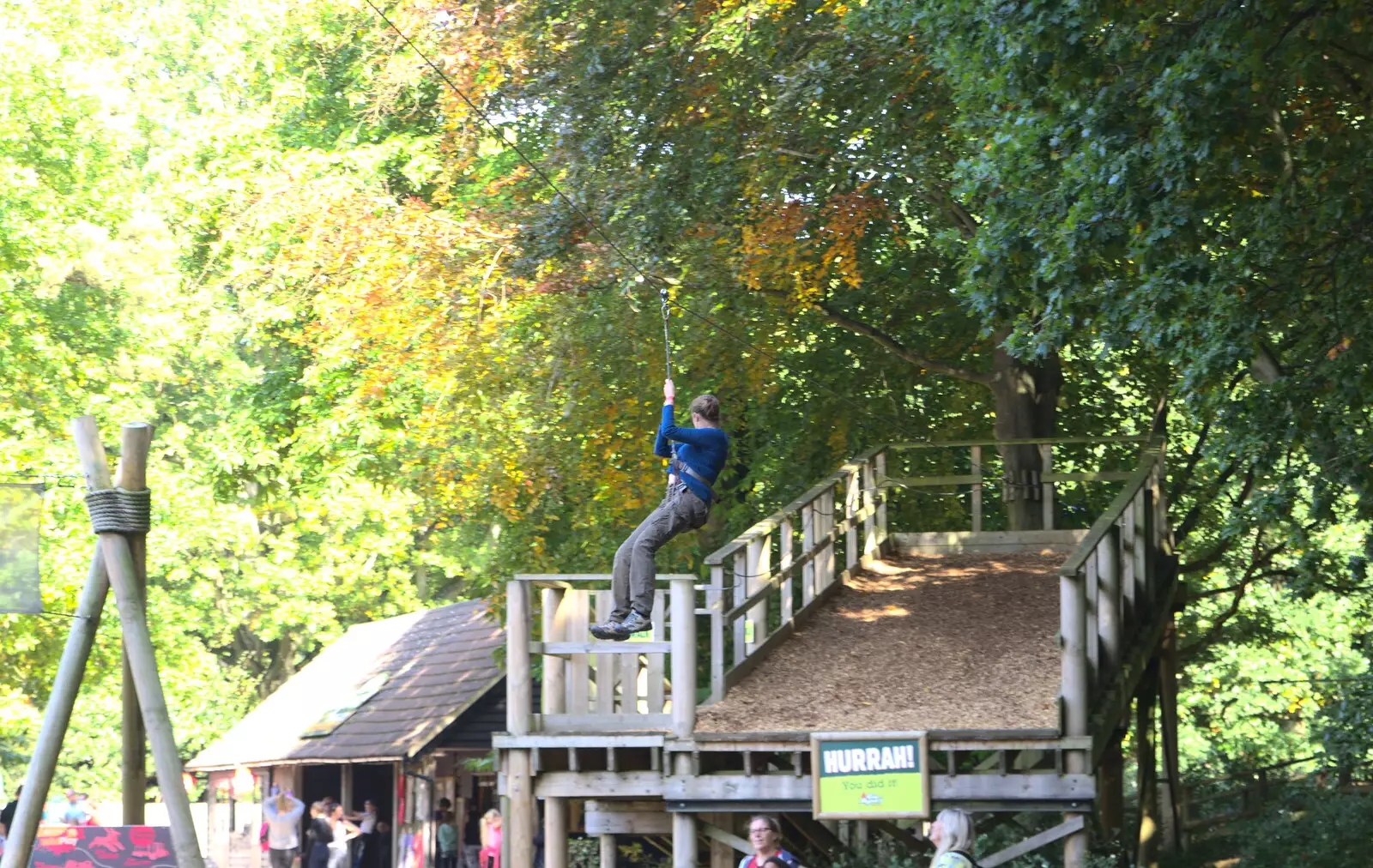 Isobel does the finale zip wire, from Fred Goes Ape, High Lodge, Brandon, Suffolk - 24th September 2017