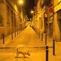 Yellow alley off Carrer Blai, and a Barcelona dog, Barcelona and Parc Montjuïc, Catalonia, Spain - 21st October 2017