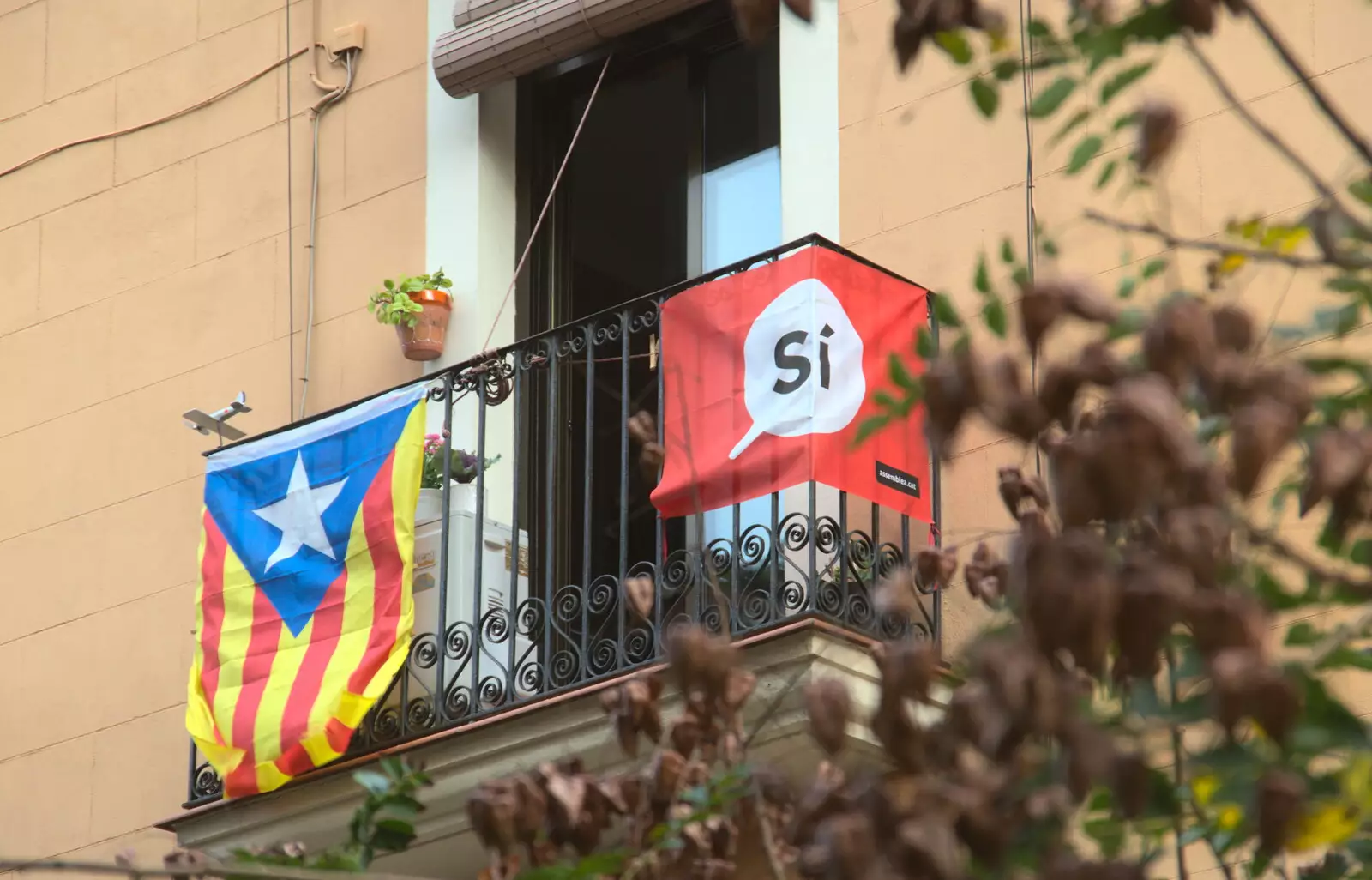 There are a lot of pro-independence flags everywhere, from L'Aquarium de Barcelona, Port Vell, Catalonia, Spain - 23rd October 2017