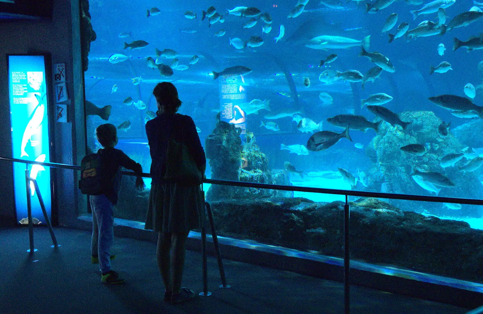 Fred and Isobel look at sea creatures, from L'Aquarium de Barcelona, Port Vell, Catalonia, Spain - 23rd October 2017