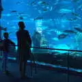 Fred and Isobel look at sea creatures, L'Aquarium de Barcelona, Port Vell, Catalonia, Spain - 23rd October 2017