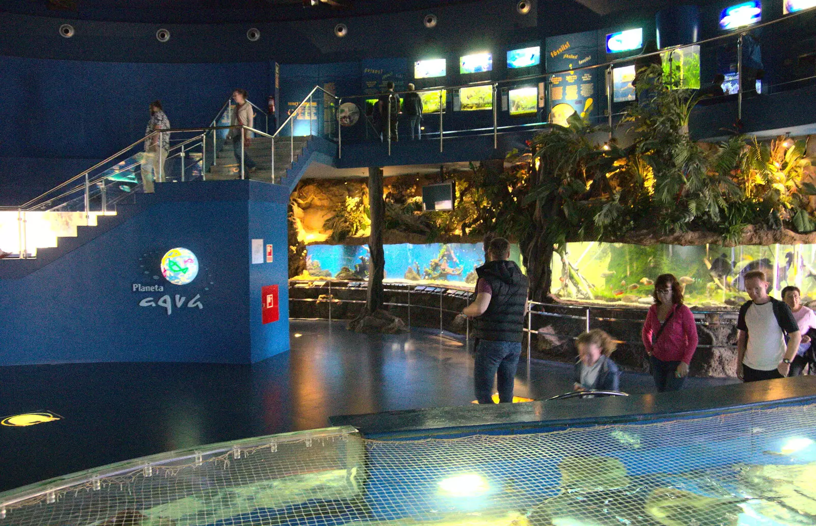 In planeta aqua, from L'Aquarium de Barcelona, Port Vell, Catalonia, Spain - 23rd October 2017