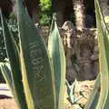 Scribed Aloa Vera leaves, A Barcelona Bus Tour, Catalonia, Spain - 25th October 2017