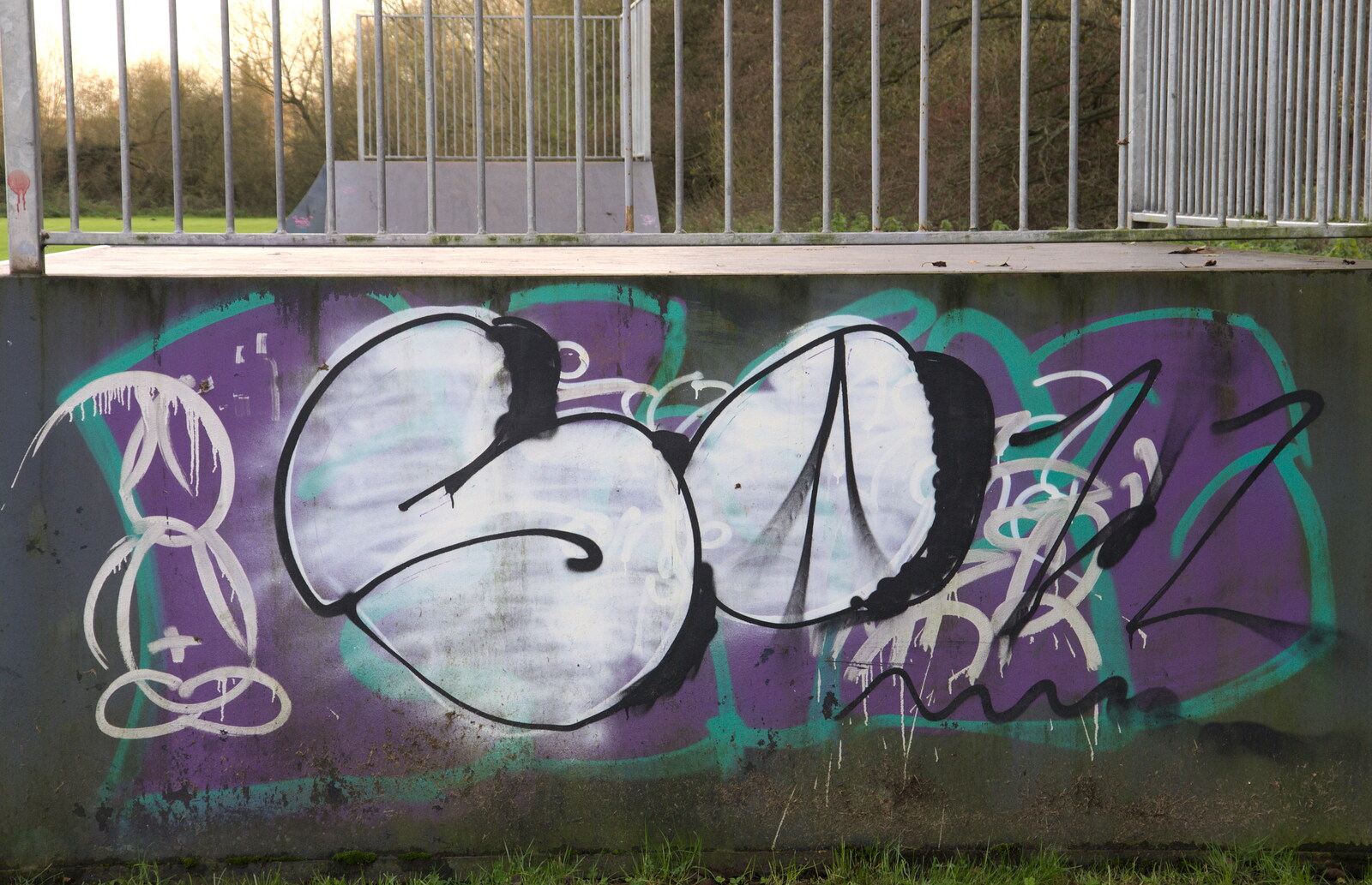 Skater graffiti from A Walk Around Eye, Suffolk - 19th November 2017
