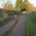 Harry's got a big stick, A Walk Around Eye, Suffolk - 19th November 2017