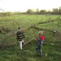 The boys find a fallen tree, A Walk Around Eye, Suffolk - 19th November 2017