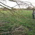 Isobel and a fallen tree, A Walk Around Eye, Suffolk - 19th November 2017