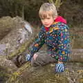 Harry models his skeleton gloves, A Walk Around Eye, Suffolk - 19th November 2017