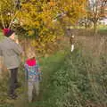 On the autumn path to Park Lane, A Walk Around Eye, Suffolk - 19th November 2017