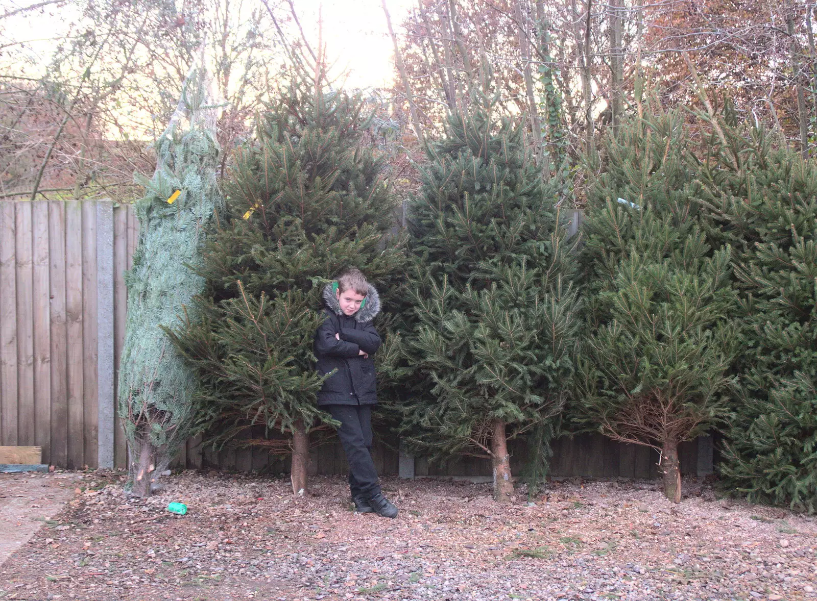 Fred leans insouciantly against a tree, from An Early Snow Day and the Christmas Tree, Brome, Suffolk - 10th December 2017