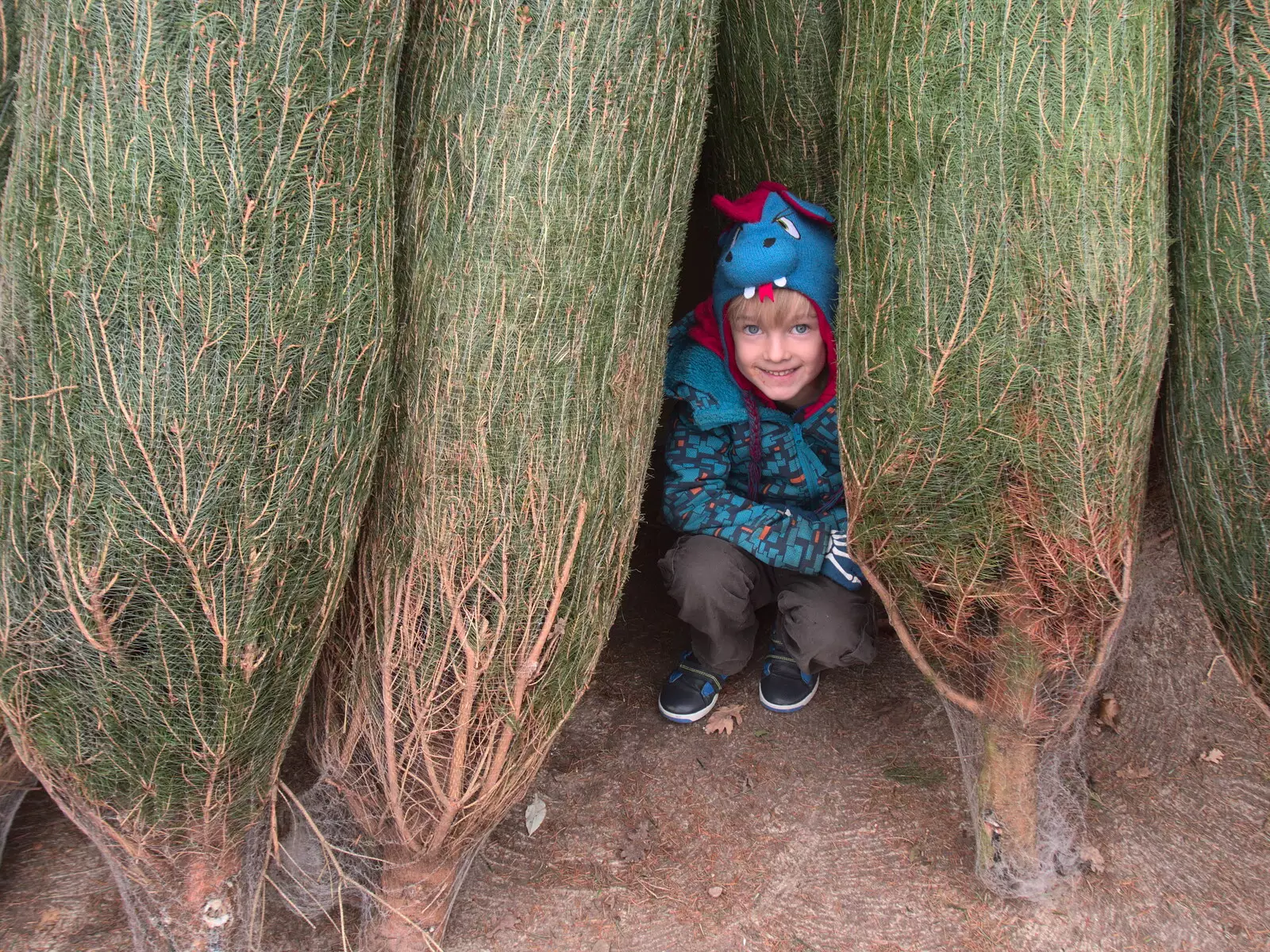 Harry's found a secret den amongst the trees, from An Early Snow Day and the Christmas Tree, Brome, Suffolk - 10th December 2017