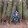 Harry escapes from the Christmas tree den, An Early Snow Day and the Christmas Tree, Brome, Suffolk - 10th December 2017