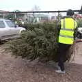 The chosen tree is hauled off to be wrapped up, An Early Snow Day and the Christmas Tree, Brome, Suffolk - 10th December 2017