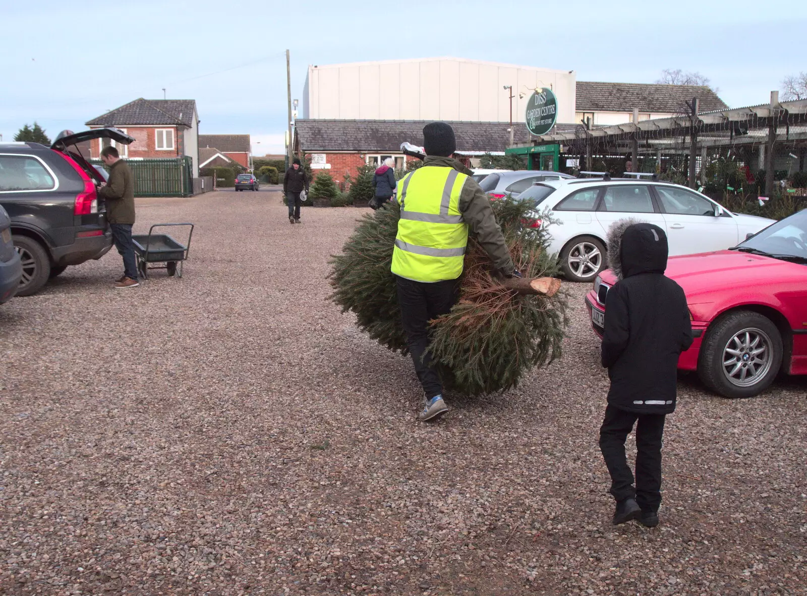 Fred follows the tree, from An Early Snow Day and the Christmas Tree, Brome, Suffolk - 10th December 2017