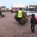 Fred follows the tree, An Early Snow Day and the Christmas Tree, Brome, Suffolk - 10th December 2017