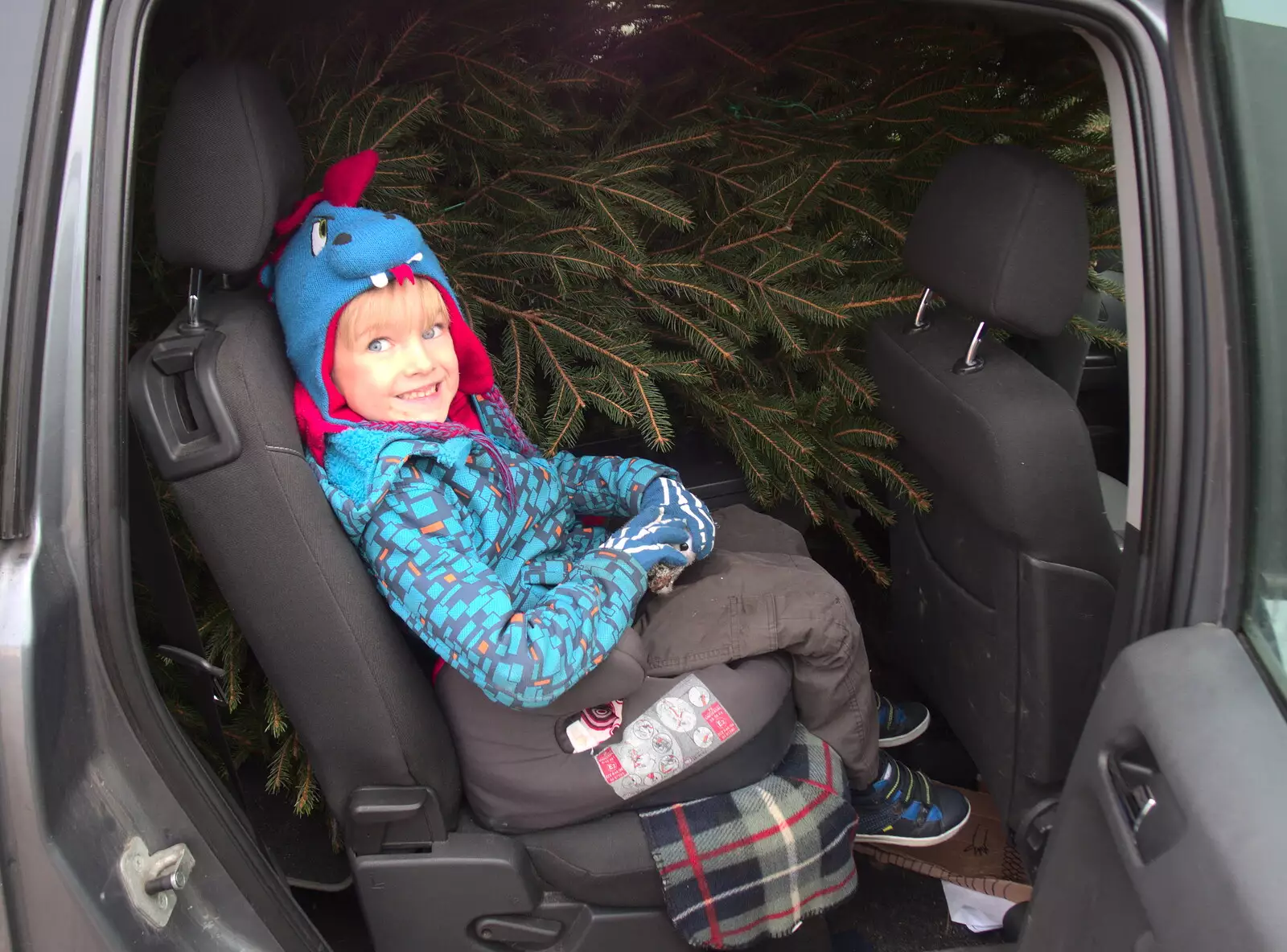 Harry's a bit crammed in with a Christmas tree, from An Early Snow Day and the Christmas Tree, Brome, Suffolk - 10th December 2017