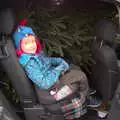 Harry's a bit crammed in with a Christmas tree, An Early Snow Day and the Christmas Tree, Brome, Suffolk - 10th December 2017