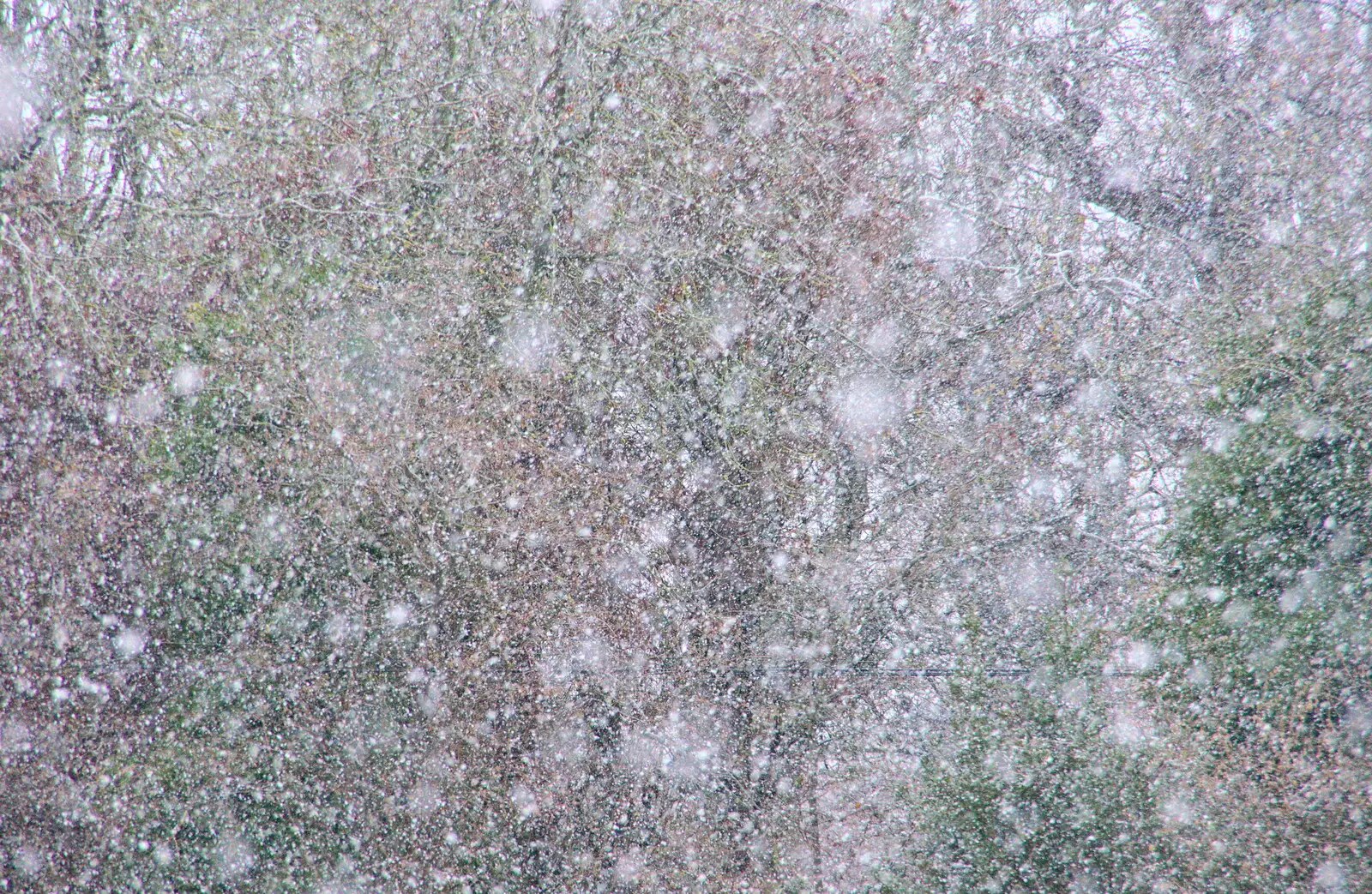 Snow piles down, from An Early Snow Day and the Christmas Tree, Brome, Suffolk - 10th December 2017