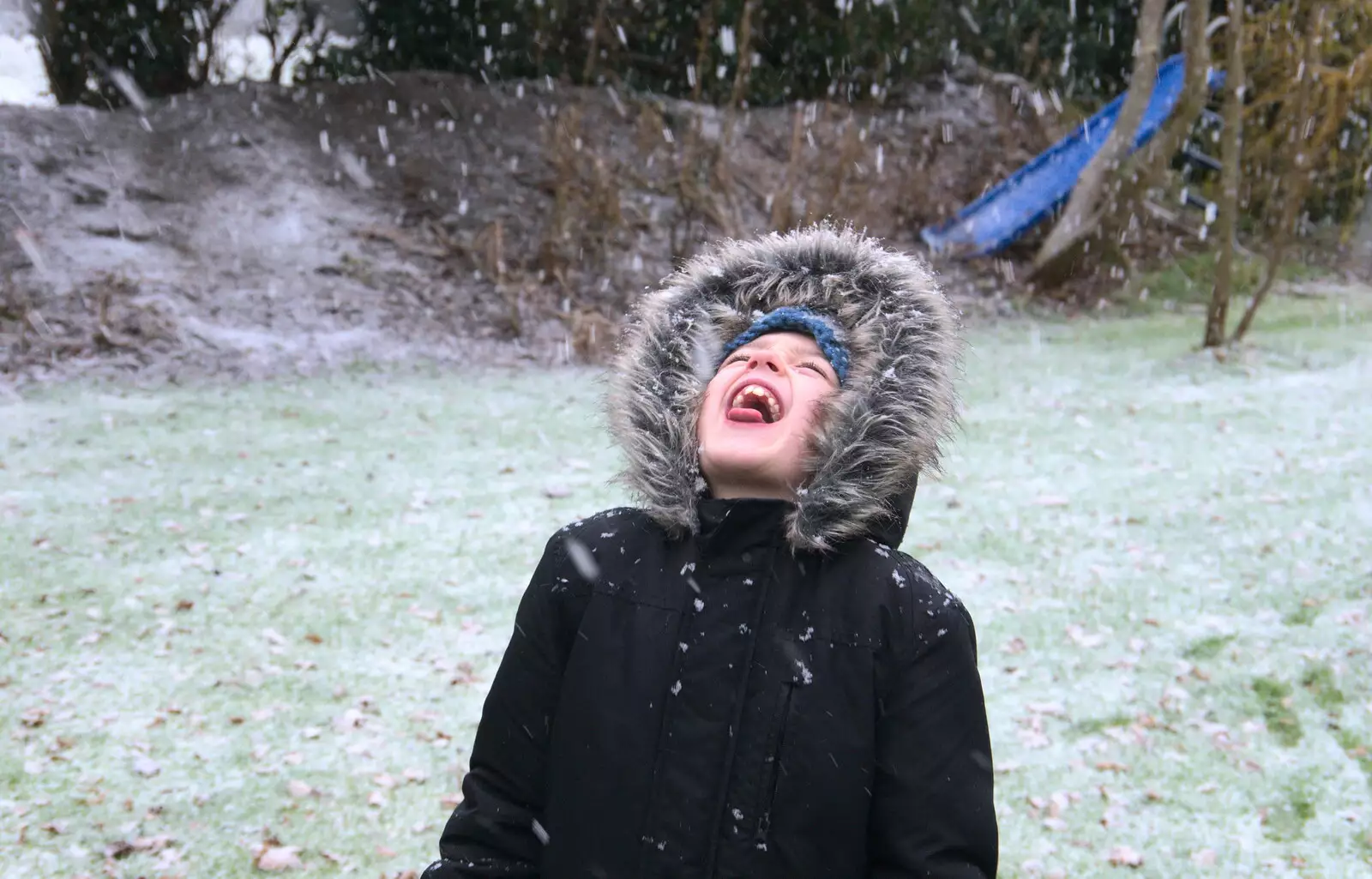 The taste of snow, from An Early Snow Day and the Christmas Tree, Brome, Suffolk - 10th December 2017