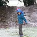 Harry looks around in the snow, An Early Snow Day and the Christmas Tree, Brome, Suffolk - 10th December 2017