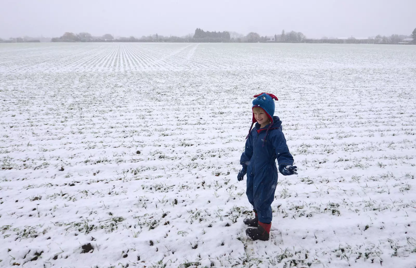 Harry in the back field, from An Early Snow Day and the Christmas Tree, Brome, Suffolk - 10th December 2017