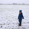 Harry in the back field, An Early Snow Day and the Christmas Tree, Brome, Suffolk - 10th December 2017