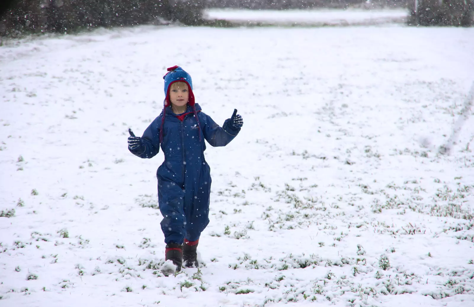 Harry escapes onto the side field, from An Early Snow Day and the Christmas Tree, Brome, Suffolk - 10th December 2017