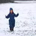 Harry escapes onto the side field, An Early Snow Day and the Christmas Tree, Brome, Suffolk - 10th December 2017