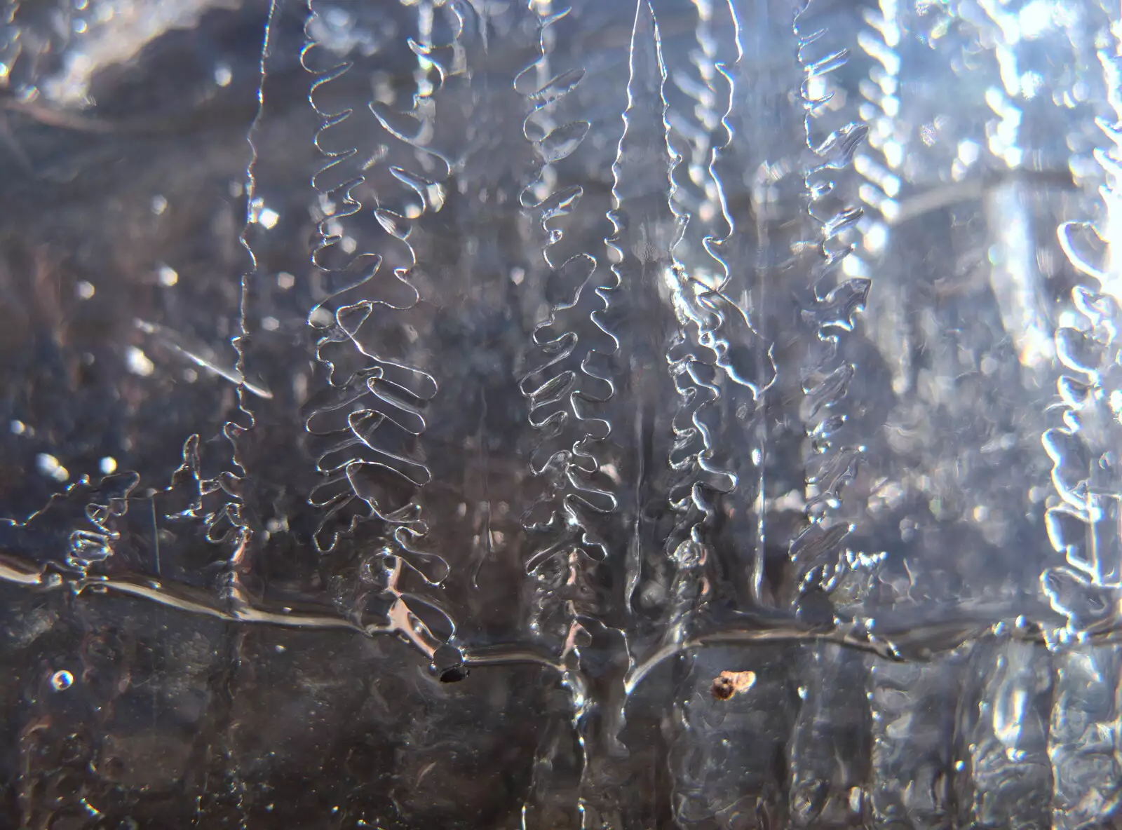 There's a small forest of ice-trees, from Reindeer Two Ways, Paddington and Suffolk - 19th December 2017