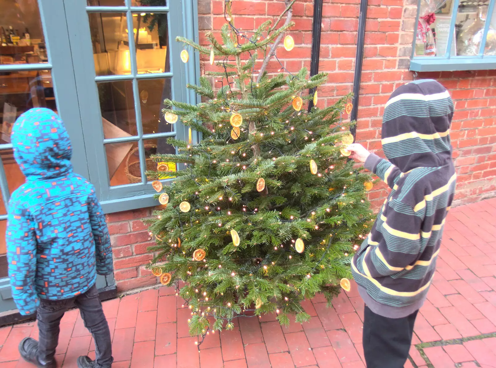 Fred pokes a Christmas tree, from Reindeer Two Ways, Paddington and Suffolk - 19th December 2017