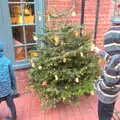 Fred pokes a Christmas tree, Reindeer Two Ways, Paddington and Suffolk - 19th December 2017