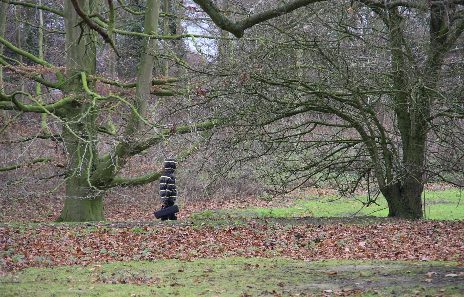 Fred trundles through the Oaksmere's grounds, from Christmas Day and The Swan Inn, Brome, Suffolk - 25th December 2017