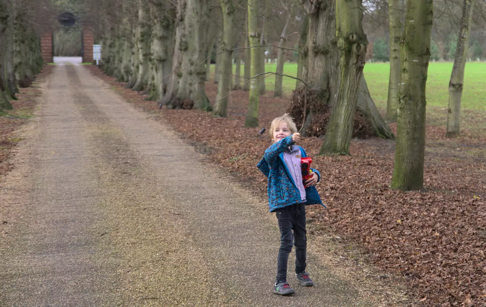 Harry waves a stick around, from Christmas Day and The Swan Inn, Brome, Suffolk - 25th December 2017