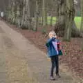 Harry waves a stick around, Christmas Day and The Swan Inn, Brome, Suffolk - 25th December 2017