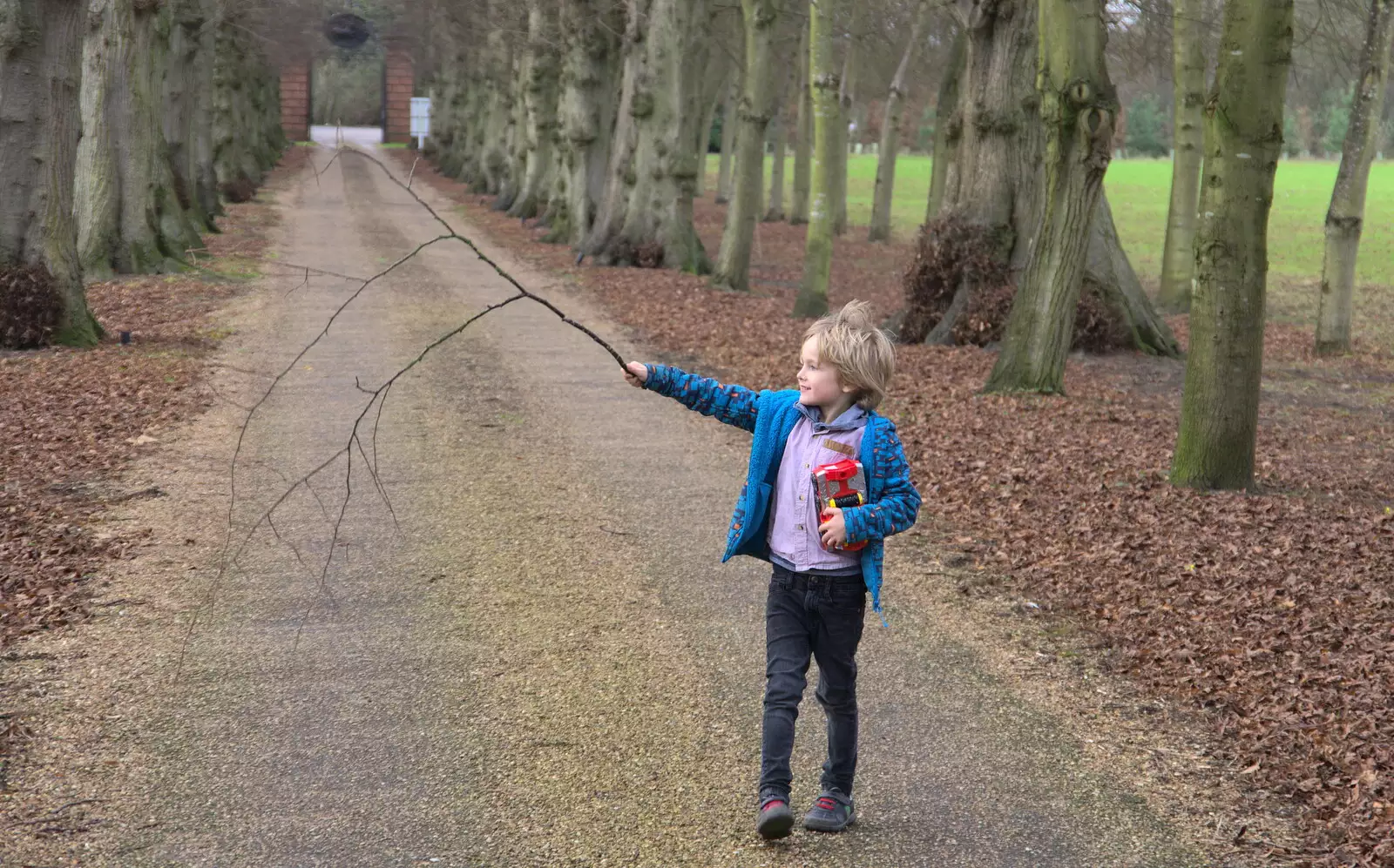 Harry's got a nice stick, from Christmas Day and The Swan Inn, Brome, Suffolk - 25th December 2017