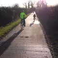 Up the Avenue to Peck's Farm, contra-jour, Boxing Day in the Queen's Head, Eye, Suffolk - 26th December 2017