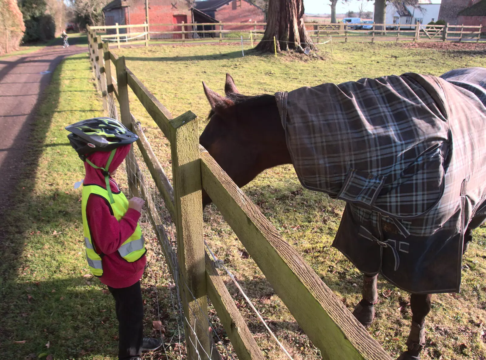 Harry says hello to a horse near Brome Hall, from Boxing Day in the Queen's Head, Eye, Suffolk - 26th December 2017