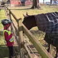 Harry says hello to a horse near Brome Hall, Boxing Day in the Queen's Head, Eye, Suffolk - 26th December 2017