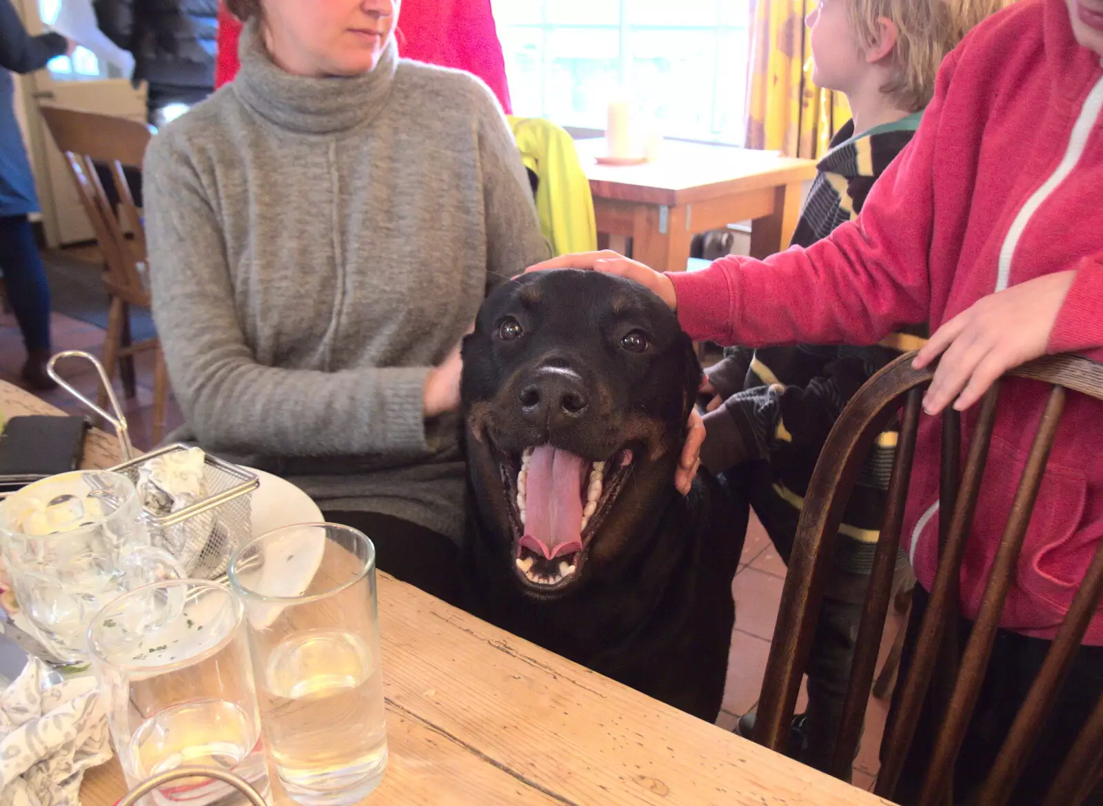 A big dog comes over, from Boxing Day in the Queen's Head, Eye, Suffolk - 26th December 2017