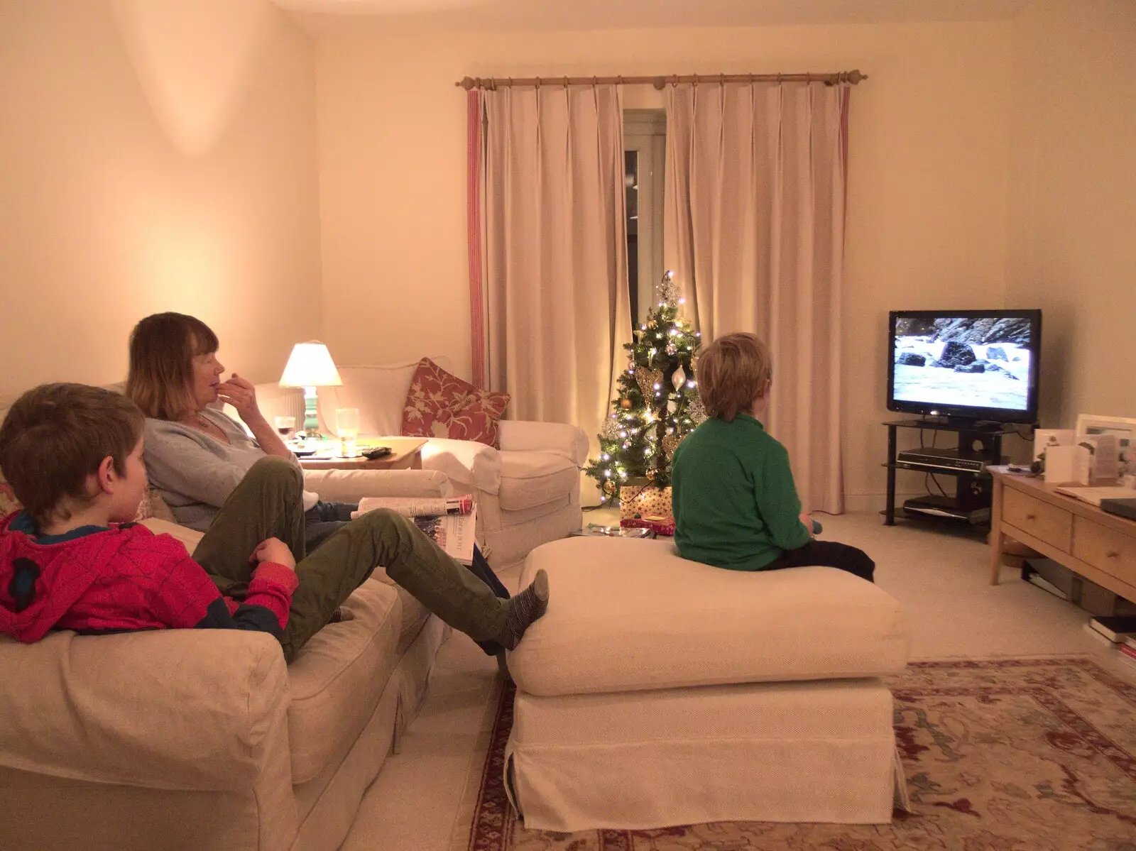 The boys watch telly in Grandma J's lounge, from An End-of-Year Trip to Spreyton, Devon - 29th December 2017