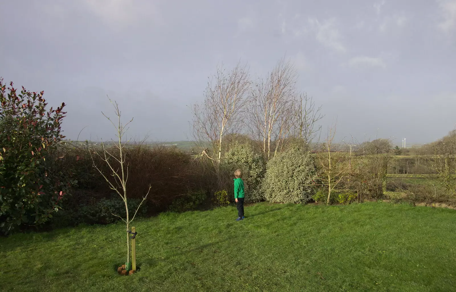 Harry looks around for Fred, from Killerton House, Broadclyst, Devon - 30th December 2017