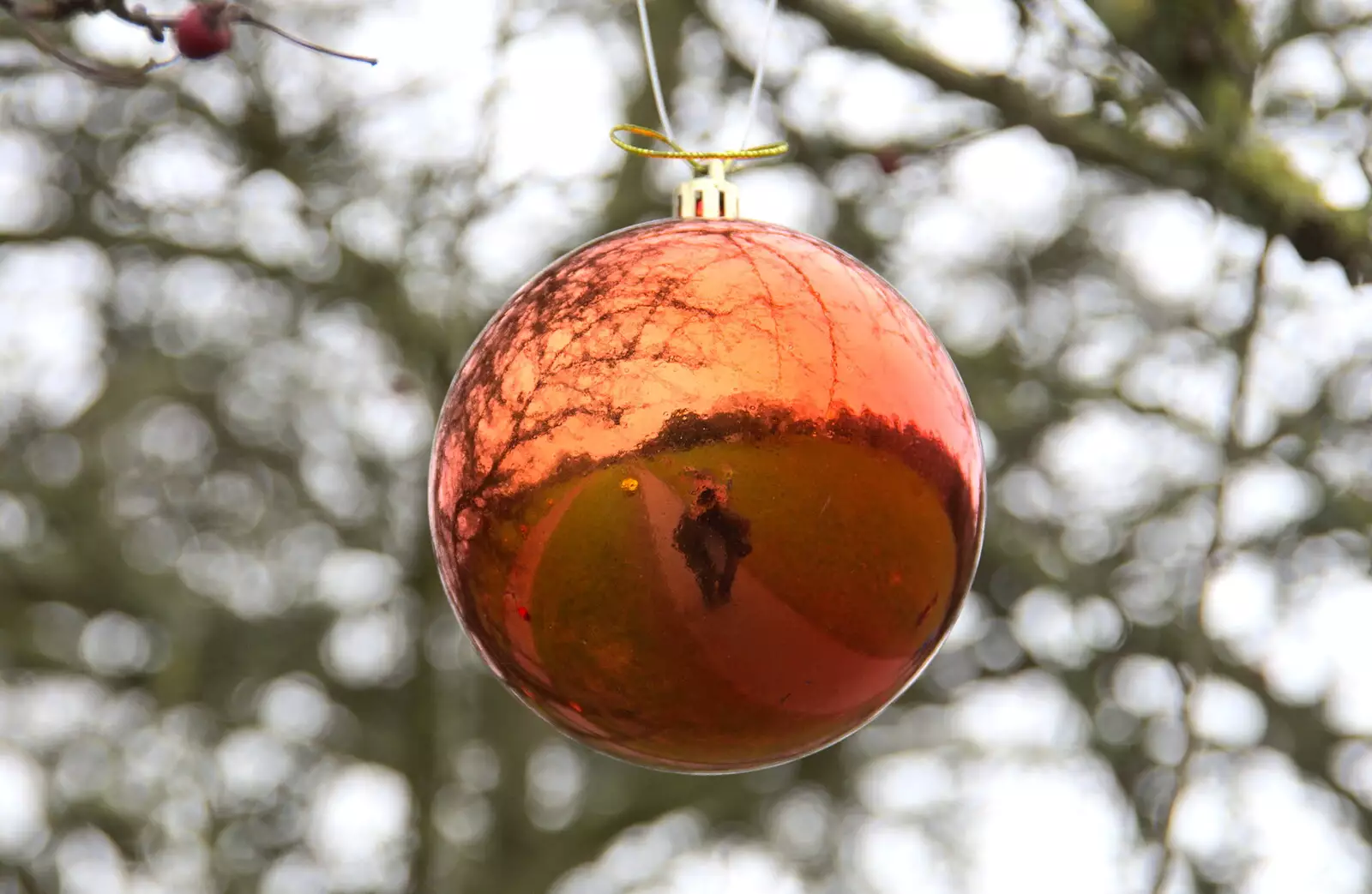 A self-portrait in a golden tree-bauble, from Killerton House, Broadclyst, Devon - 30th December 2017