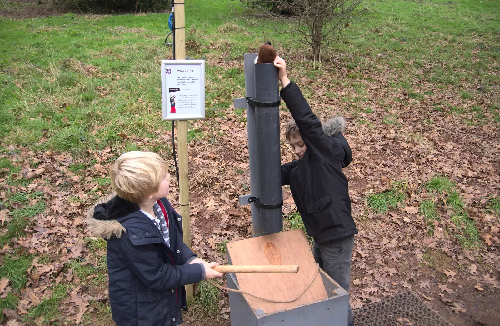 Fred drops a rat down the tube, from Killerton House, Broadclyst, Devon - 30th December 2017