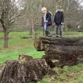 The boys are perched on a fallen tree, Killerton House, Broadclyst, Devon - 30th December 2017